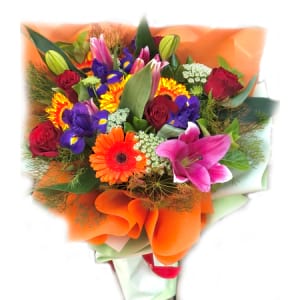 WOW 09 - Orange Delight