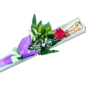 R 02 - Elegant Single Rose Display