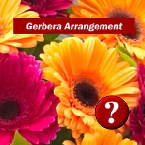 F 06 - Gerbera Arrangement