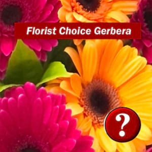 F 03 - Gerbera Wrapped Bouquet